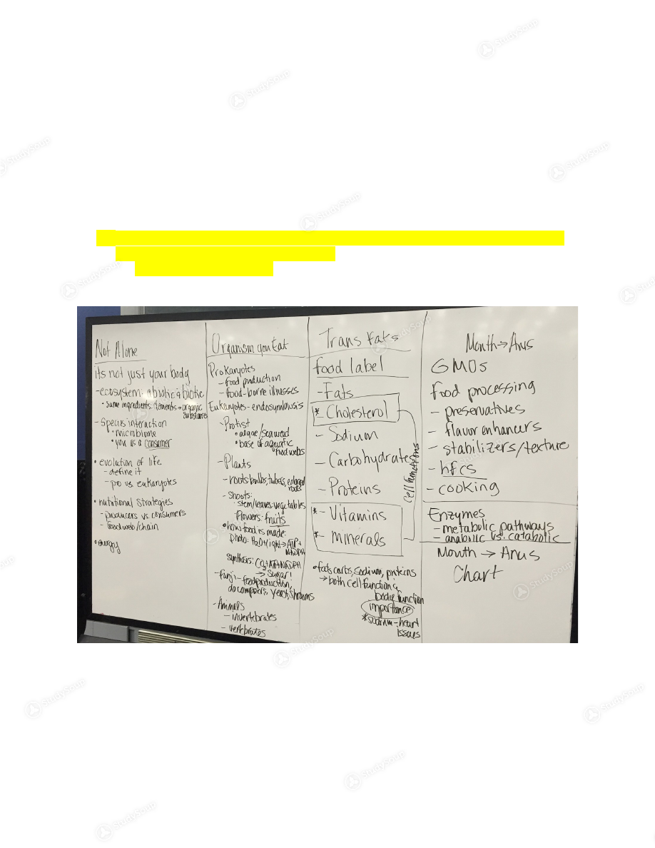 background image. Biology of Nutrition and Health Final Study Guide